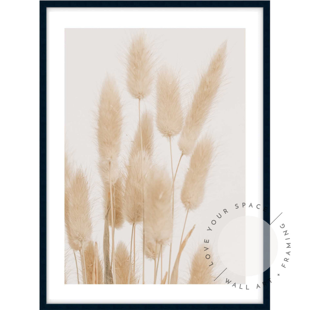 Bunny Tail Grass I