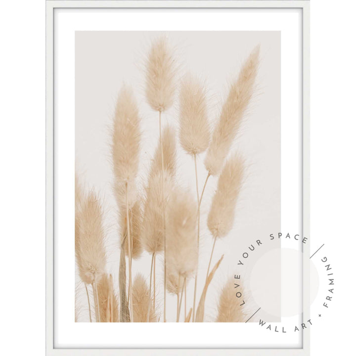 Bunny Tail Grass I