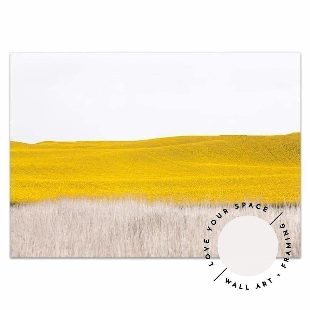 Canola II - Country Victoria - Love Your Space