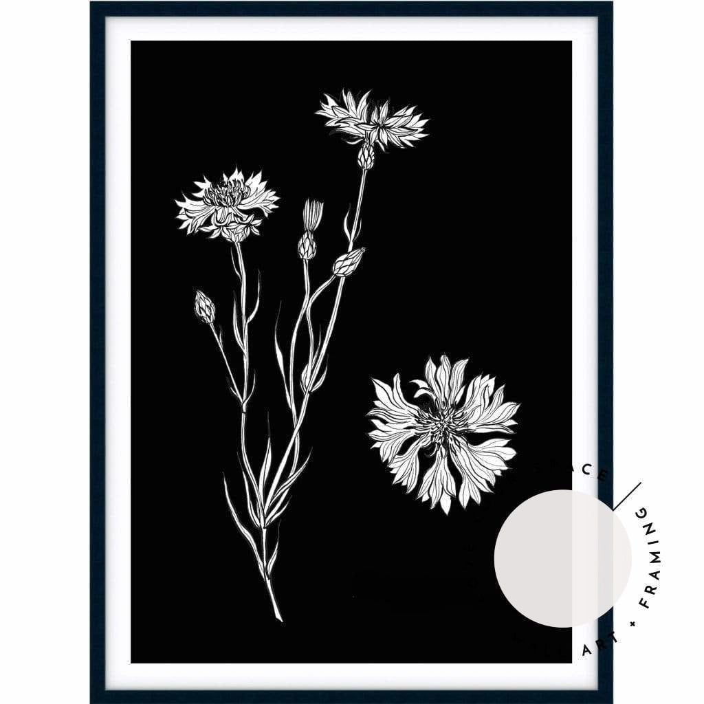 Cornflower Sketch - Love Your Space