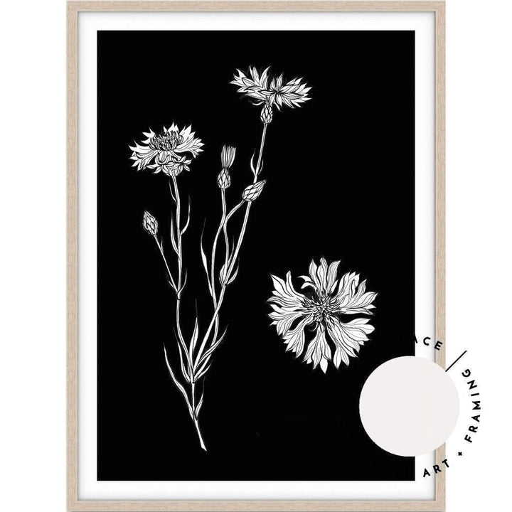 Cornflower Sketch - Love Your Space