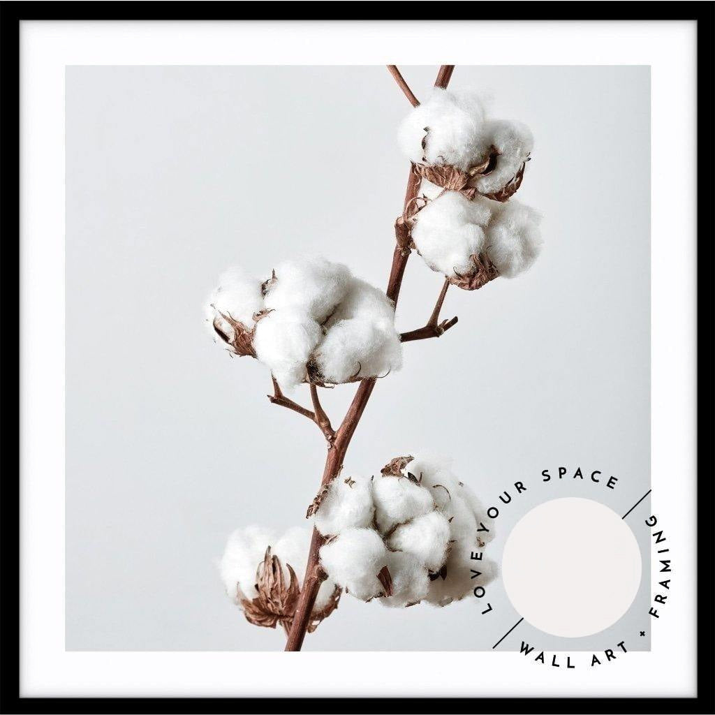 Cotton Plant - SQUARE - Love Your Space