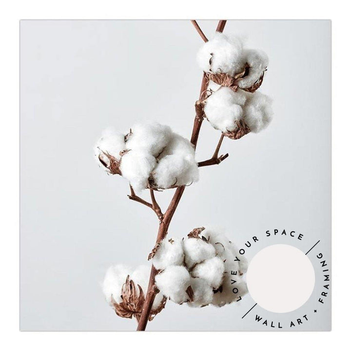 Cotton Plant - SQUARE - Love Your Space