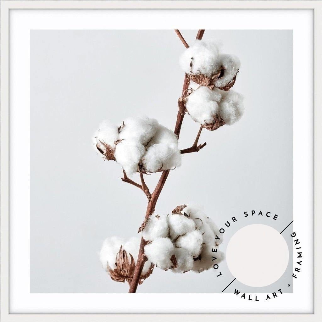 Cotton Plant - SQUARE - Love Your Space