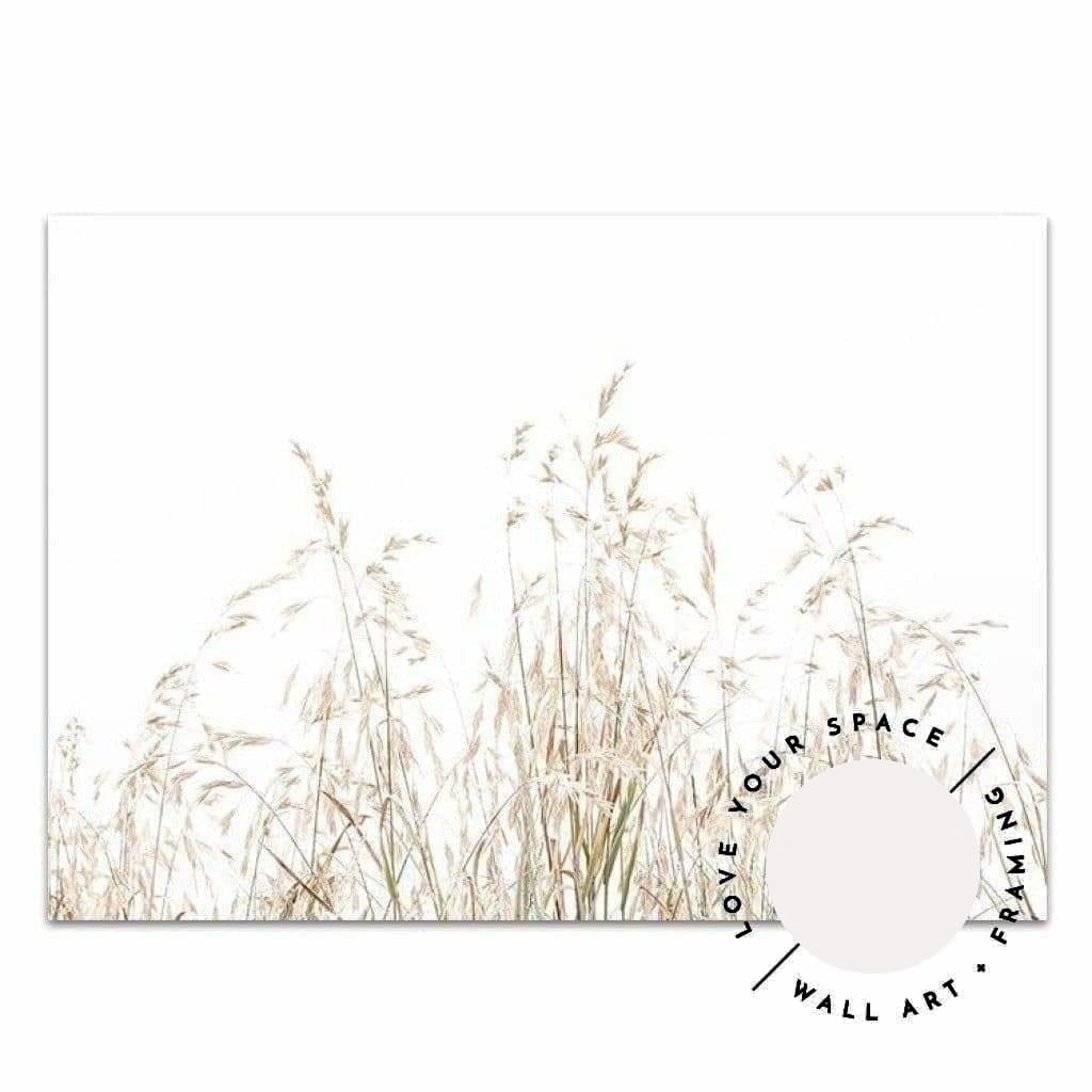 Country Grass no.1 - LS - Love Your Space