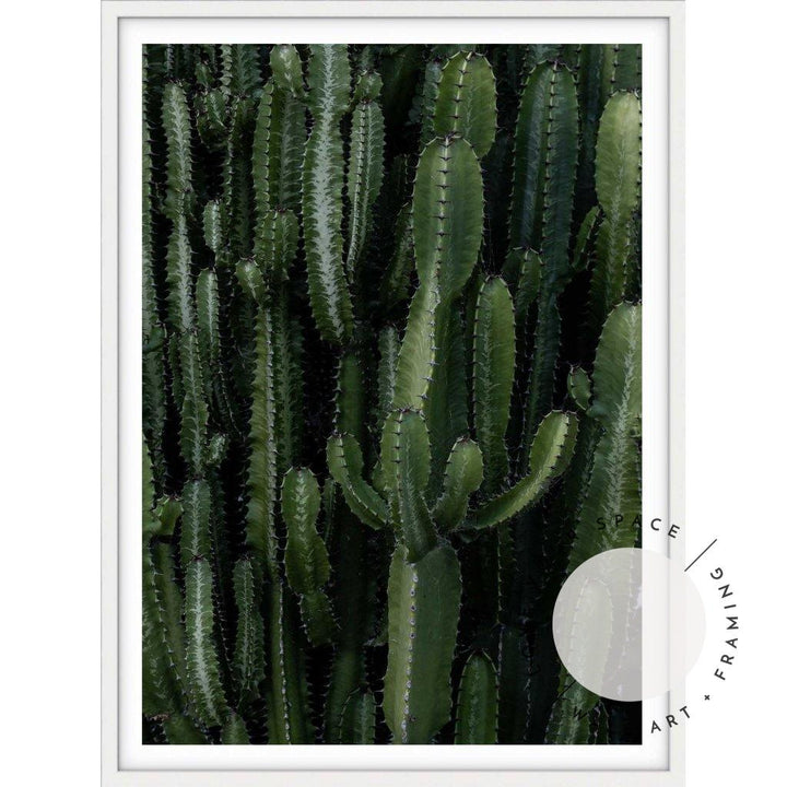 Crowded Cactus - Love Your Space