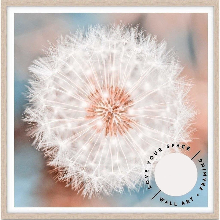 Dandelion no.2 - SQ - Love Your Space