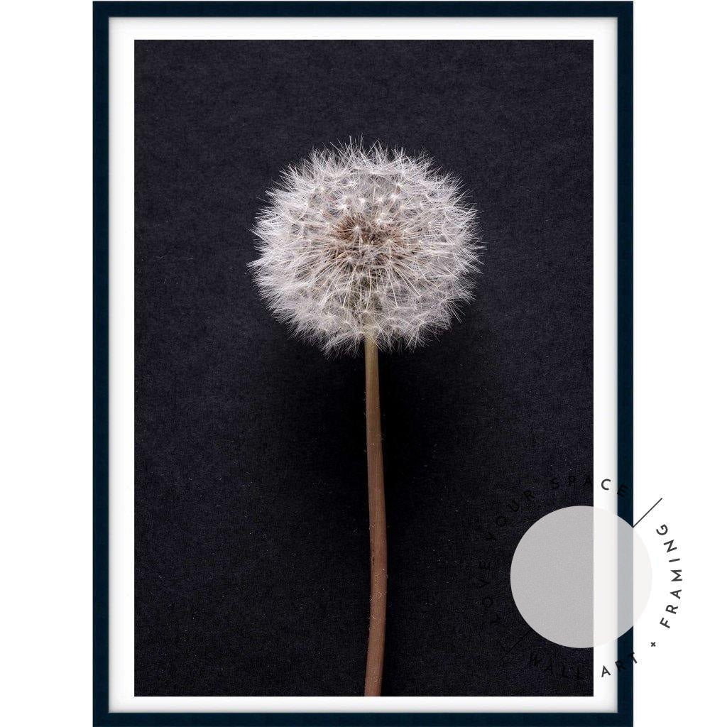 Dandelion no.3 - Love Your Space