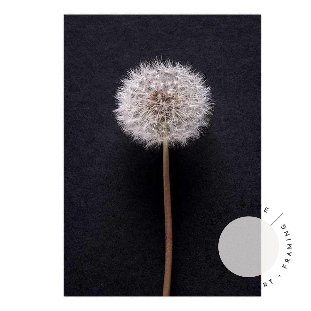 Dandelion no.3 - Love Your Space