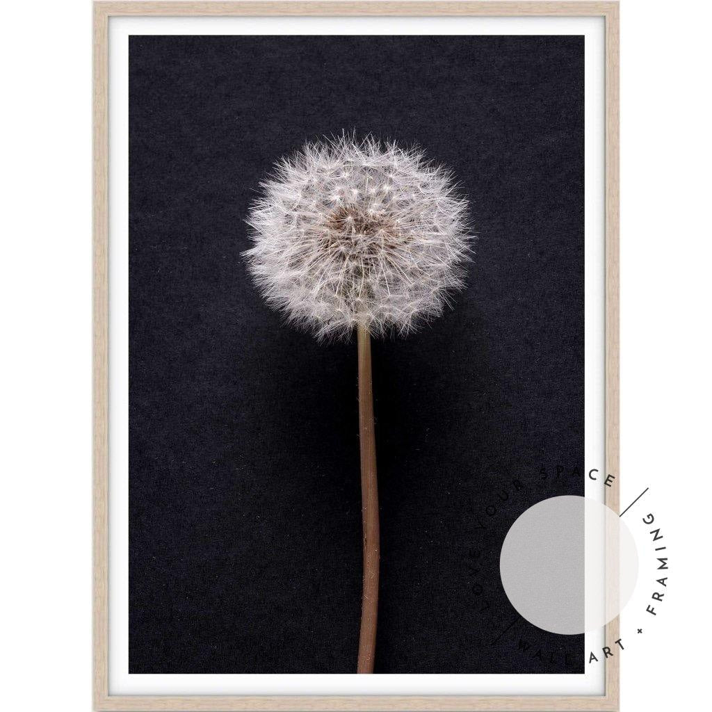 Dandelion no.3 - Love Your Space