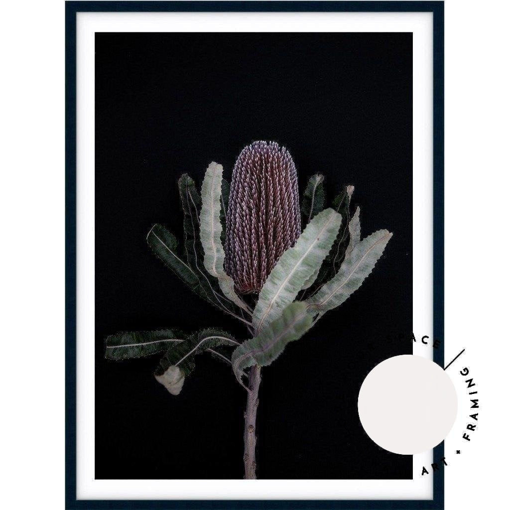 Dark Banksia I - Love Your Space