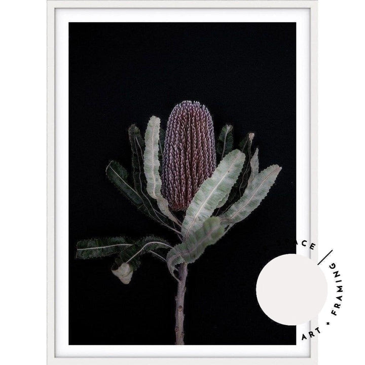 Dark Banksia I - Love Your Space