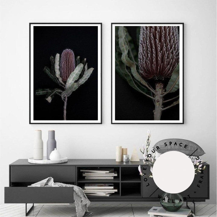 Dark Banksia I - Love Your Space