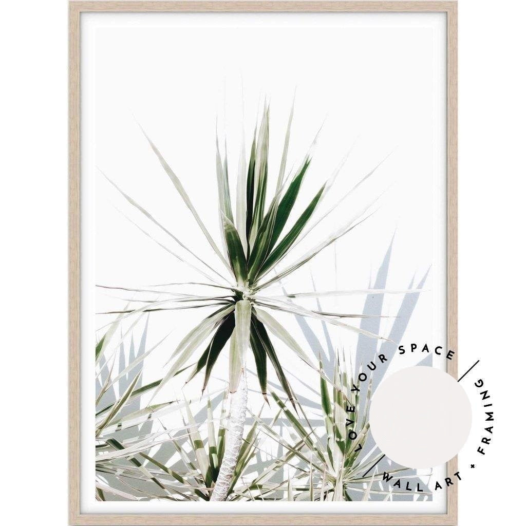 Dracaena II - Love Your Space