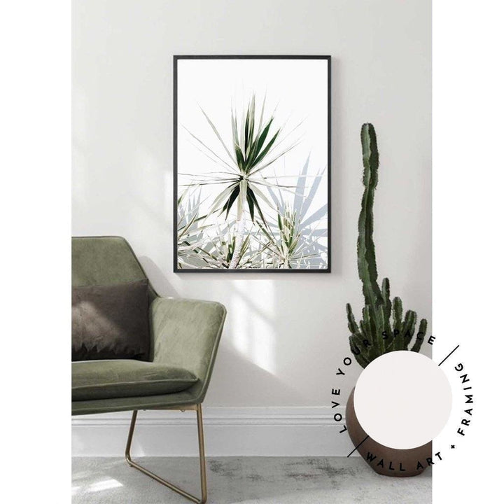 Dracaena II - Love Your Space