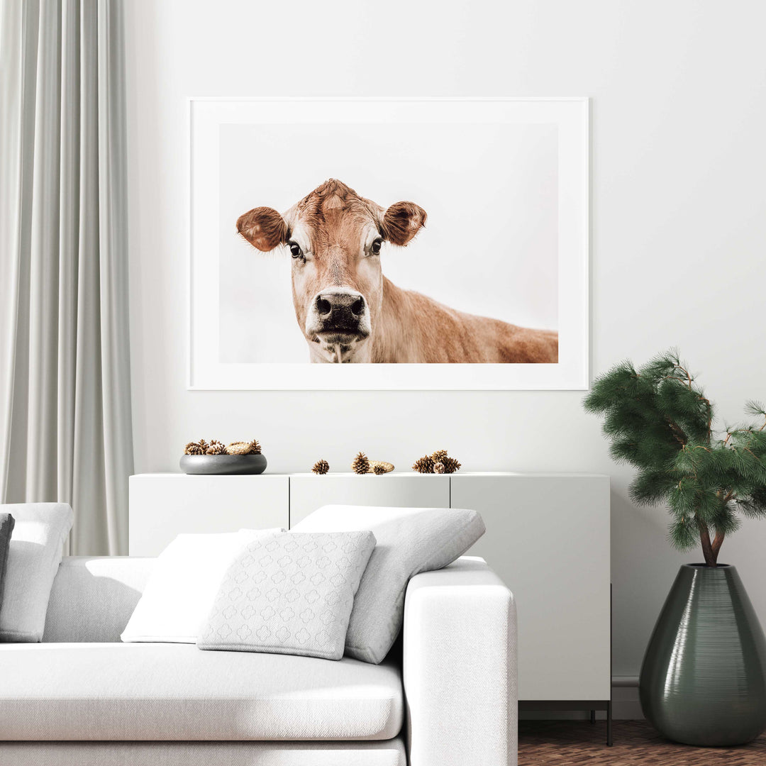 Jersey Cow