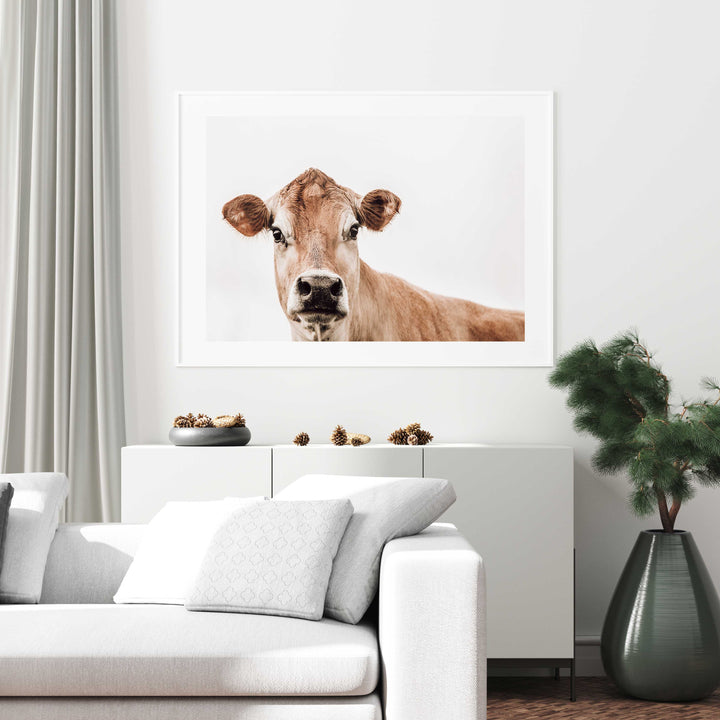 Jersey Cow
