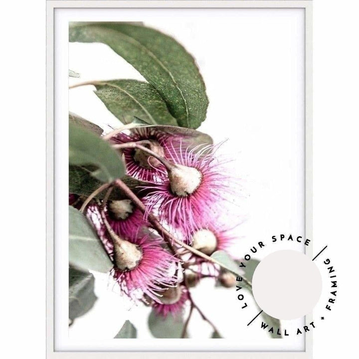 Eucalyptus II - Love Your Space