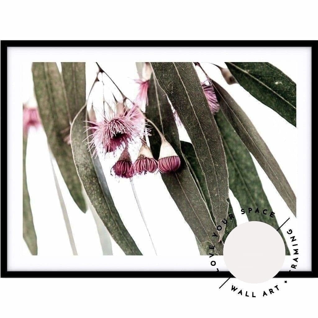 Eucalyptus III - Love Your Space