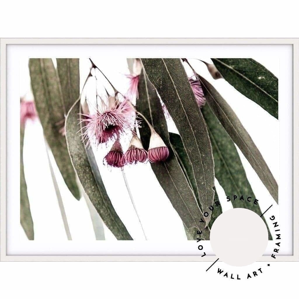 Eucalyptus III - Love Your Space