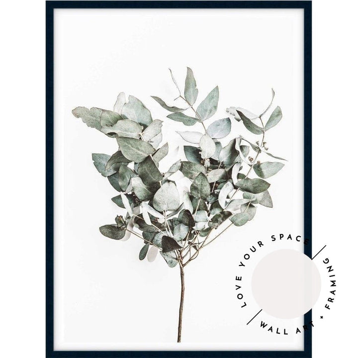 Eucalyptus Leaves no.3 - Love Your Space