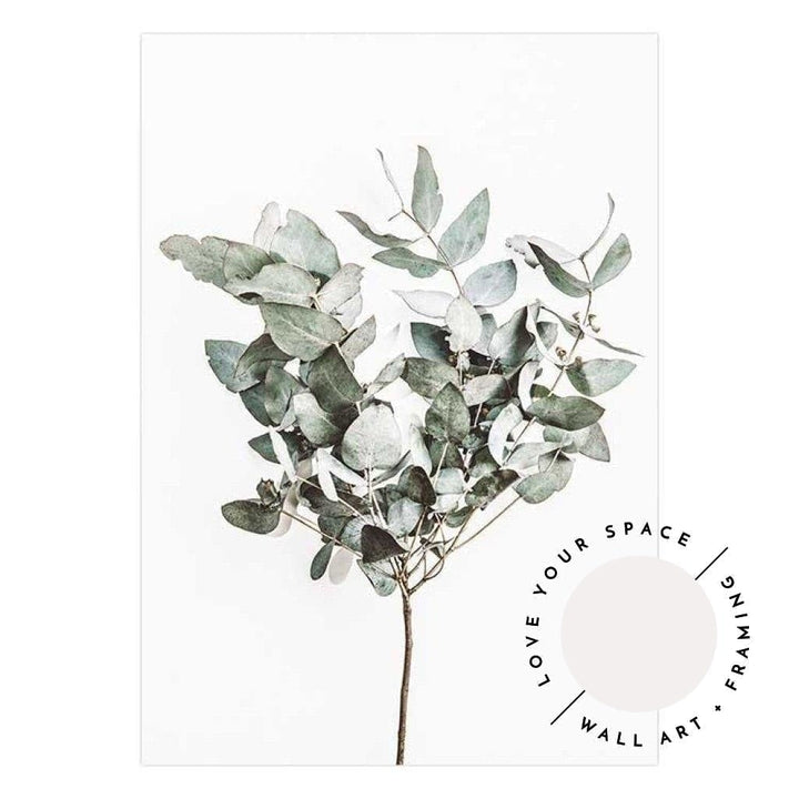 Eucalyptus Leaves no.3 - Love Your Space