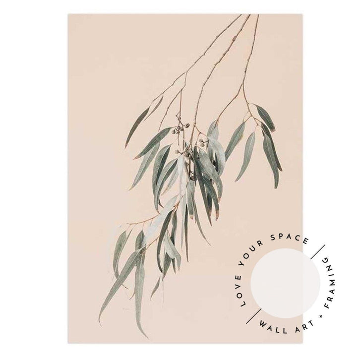 Eucalyptus On Peach - Love Your Space