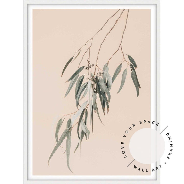 Eucalyptus On Peach - Love Your Space