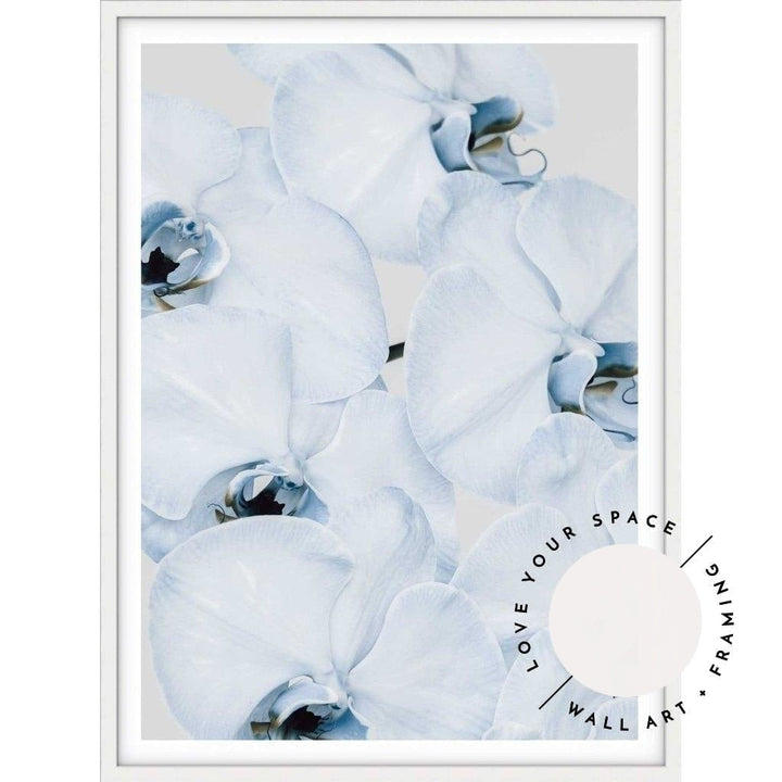 Faded Blue Orchid no.1 - Love Your Space