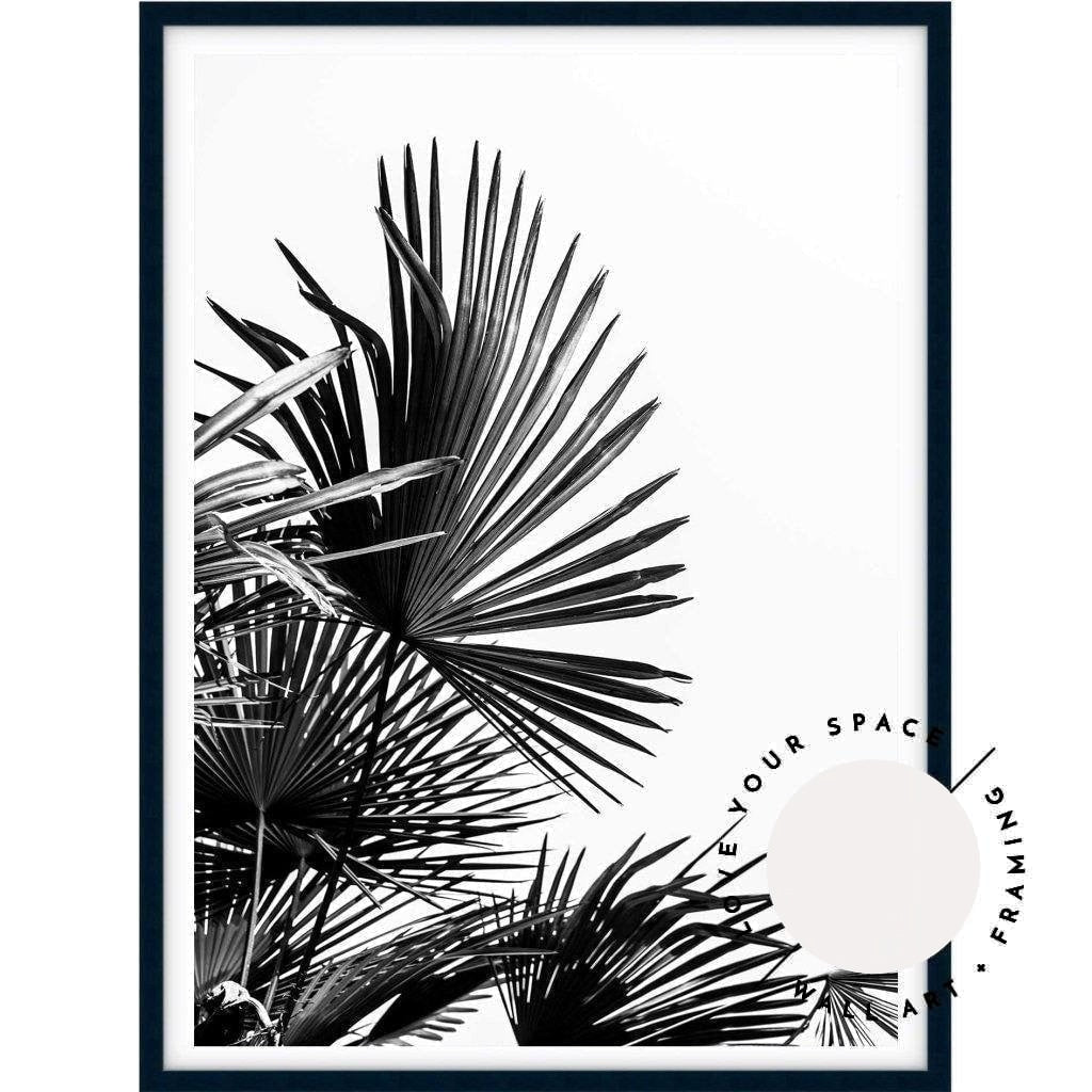 Fan Palm - Love Your Space