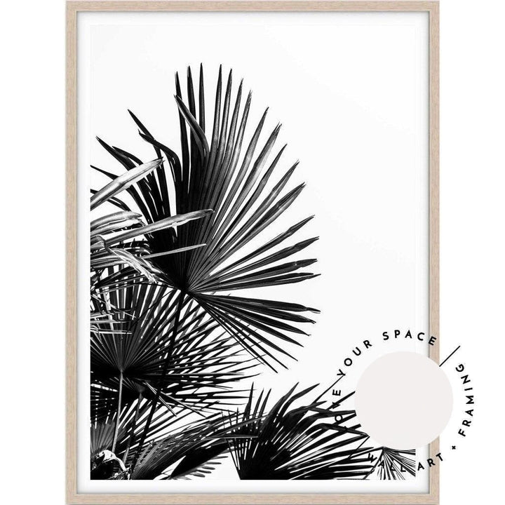 Fan Palm - Love Your Space