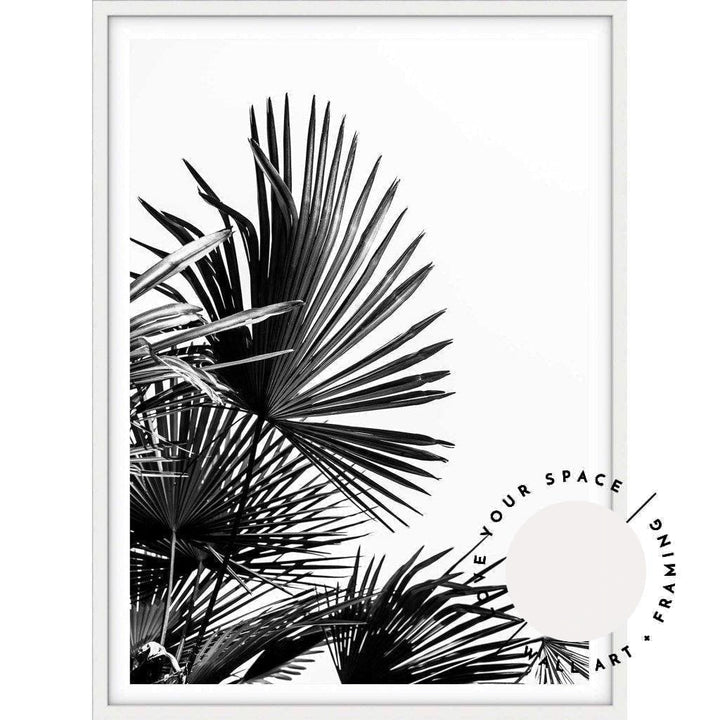 Fan Palm - Love Your Space