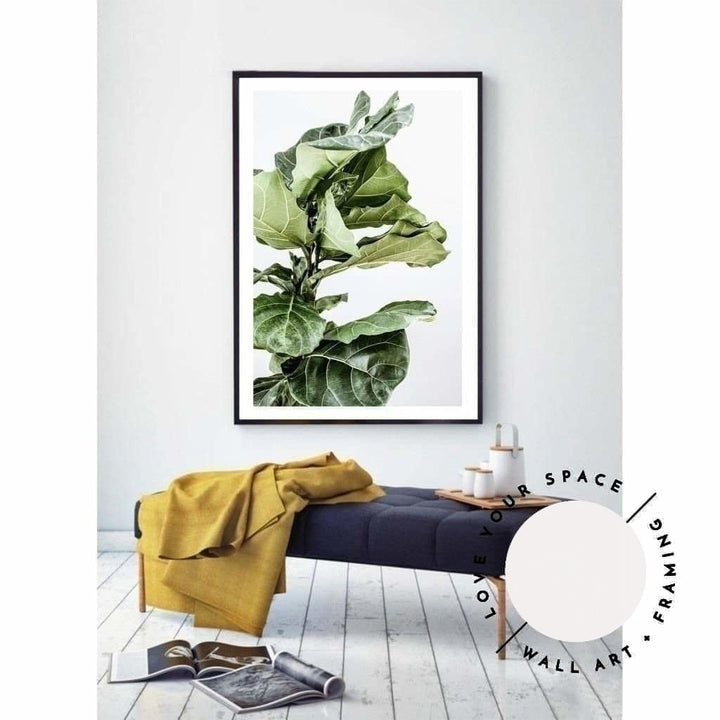 Fiddle Leaf no.1 - Love Your Space