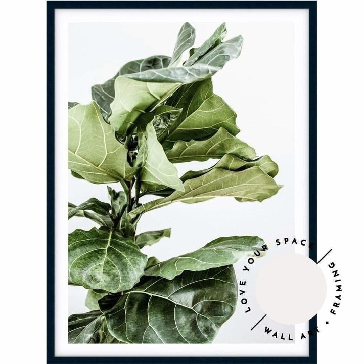 Fiddle Leaf no.1 - Love Your Space