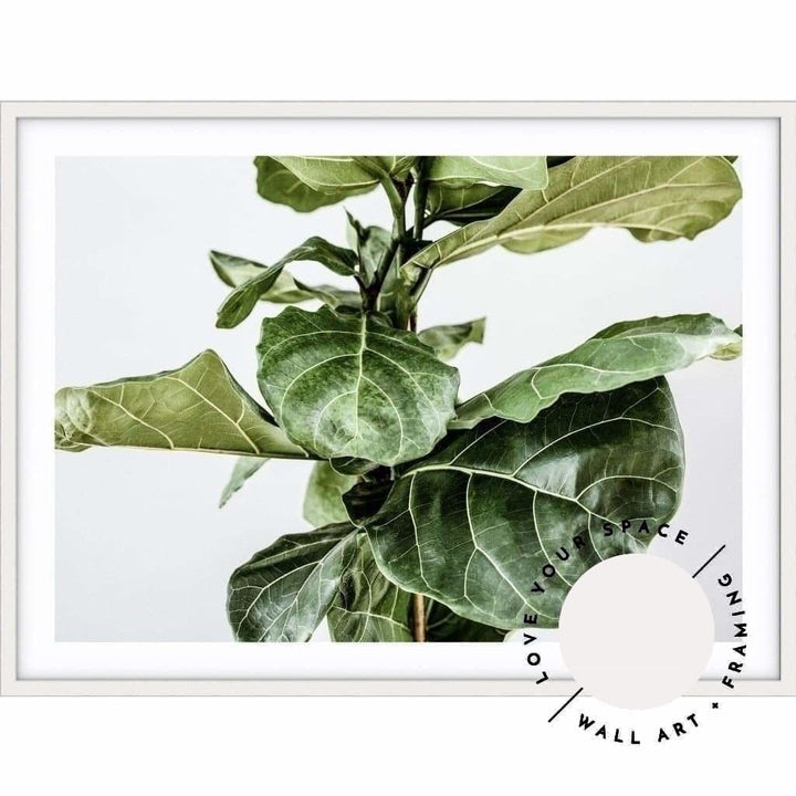 Fiddle Leaf no.3 - Love Your Space