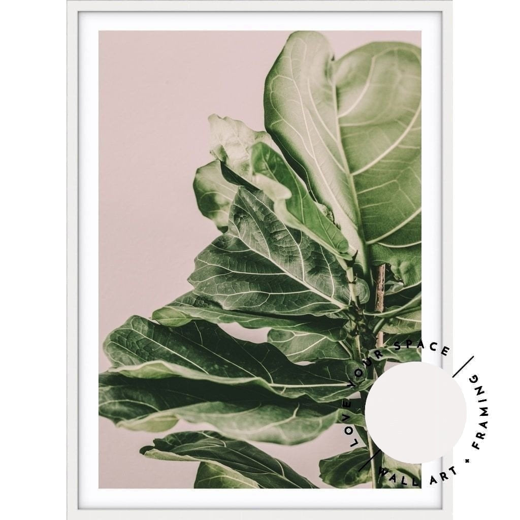 Fiddle Leaf On Pink no.1 - Love Your Space