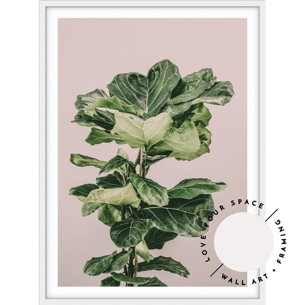 Fiddle Leaf On Pink no.3 - Love Your Space