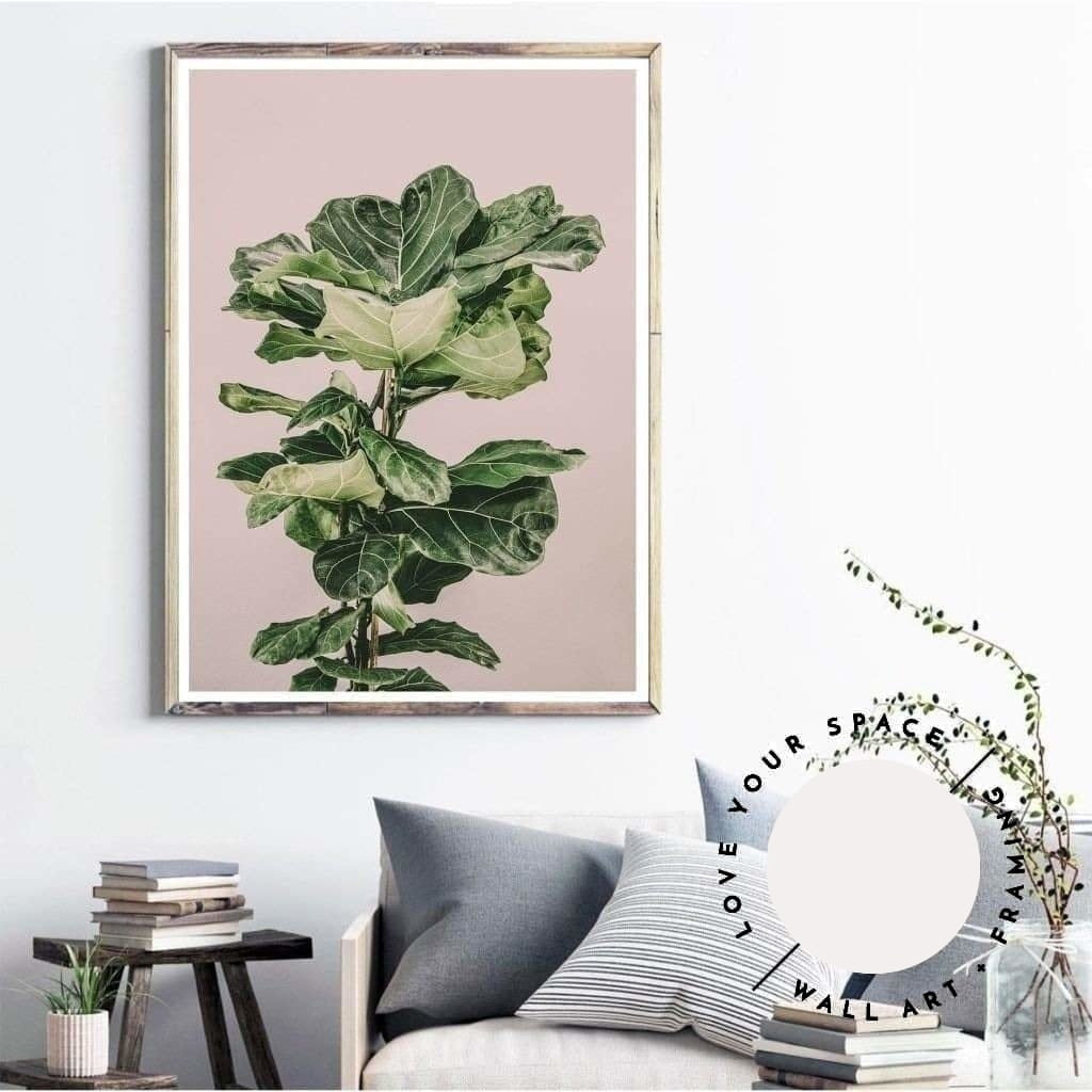 Fiddle Leaf On Pink no.3 - Love Your Space