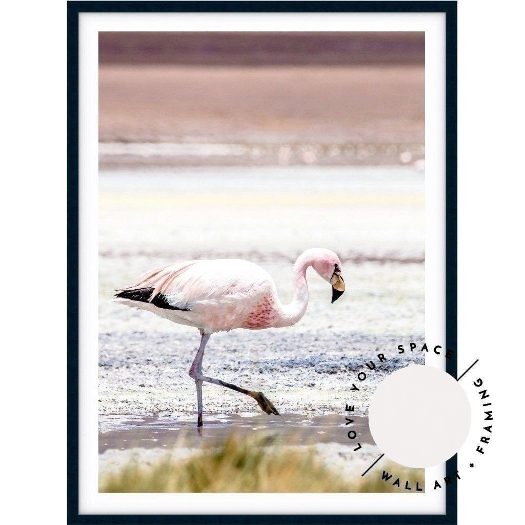 Flamingo - Bolivia - Love Your Space