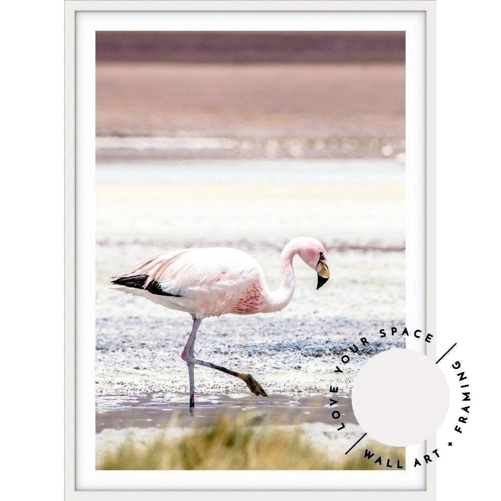 Flamingo - Bolivia - Love Your Space