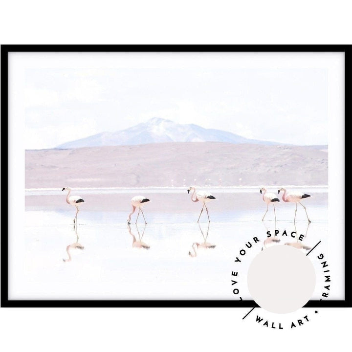 Flamingos LS - Bolivia - Love Your Space