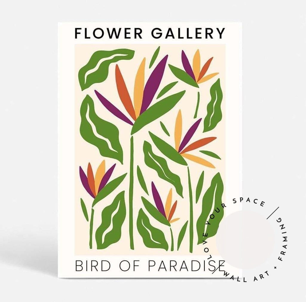 Flower Gallery - Birds of Paradise - Love Your Space