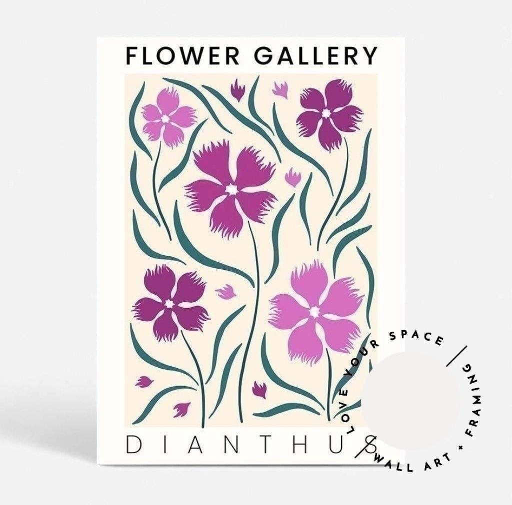 Flower Gallery - Dianthus - Love Your Space