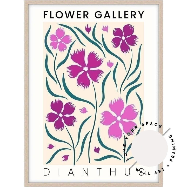 Flower Gallery - Dianthus - Love Your Space