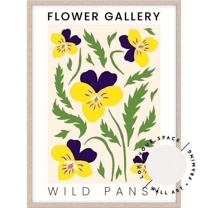 Flower Gallery - Wild Pansy - Love Your Space