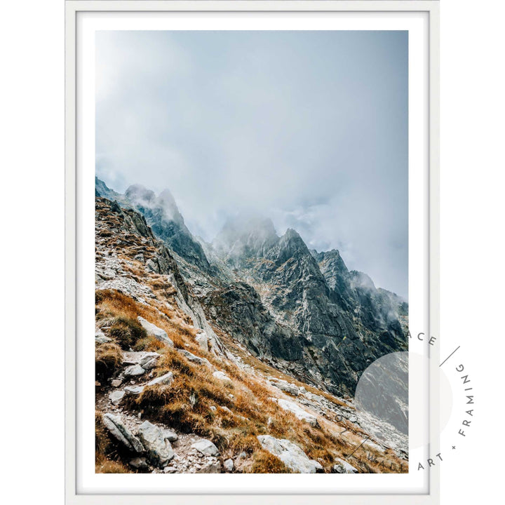 Fog - Rocky Mountains