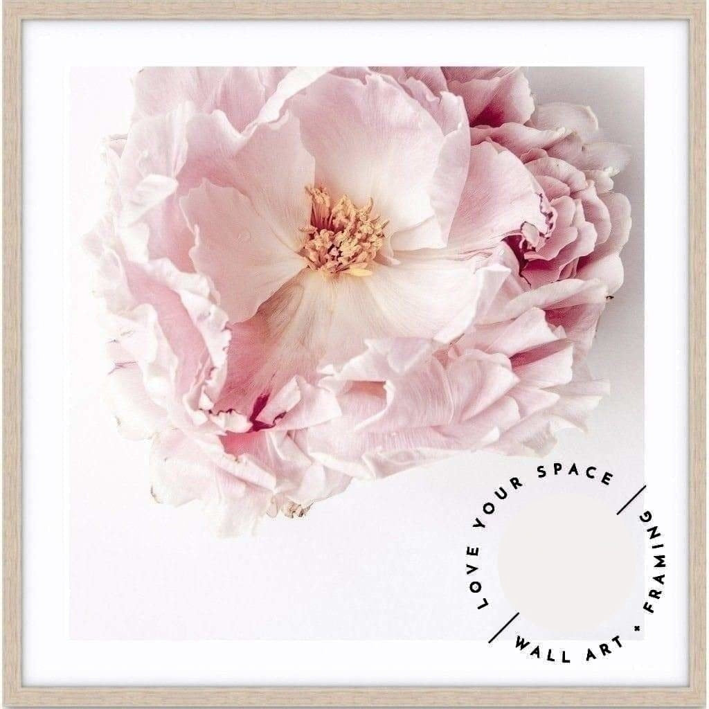 Full Bloom Peony I - SQUARE - Love Your Space