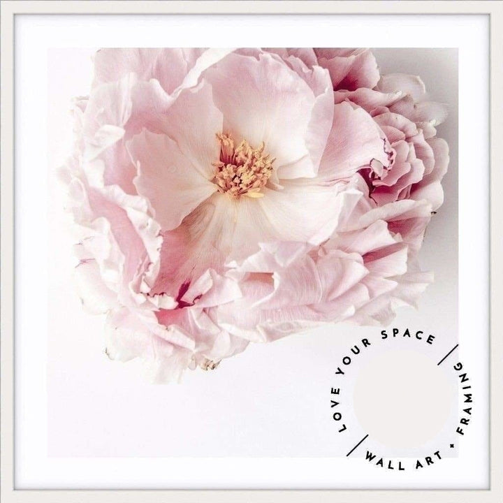 Full Bloom Peony I - SQUARE - Love Your Space