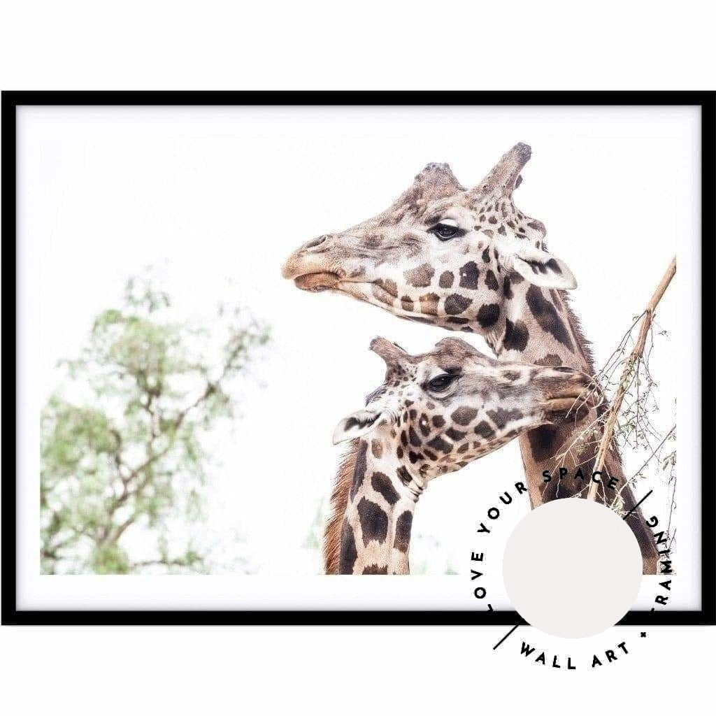 Giraffe Love - Love Your Space