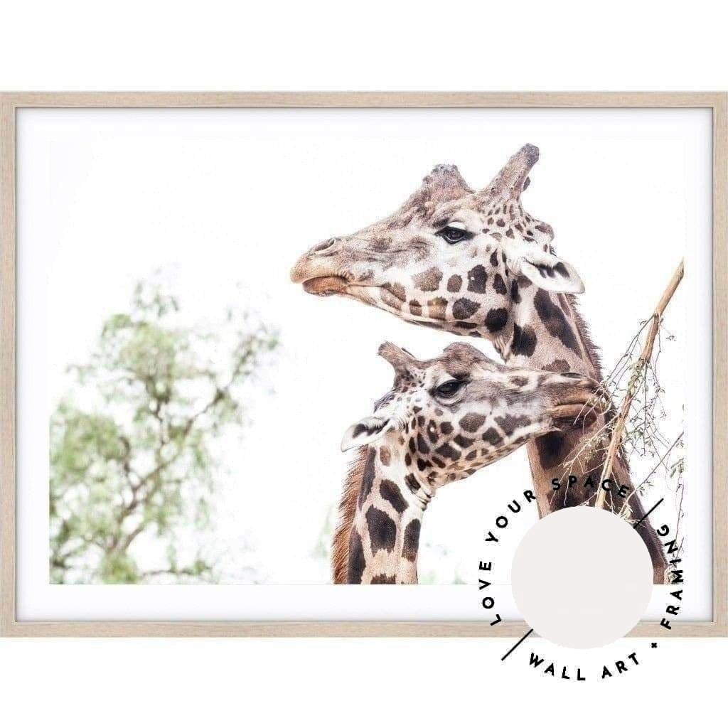 Giraffe Love - Love Your Space